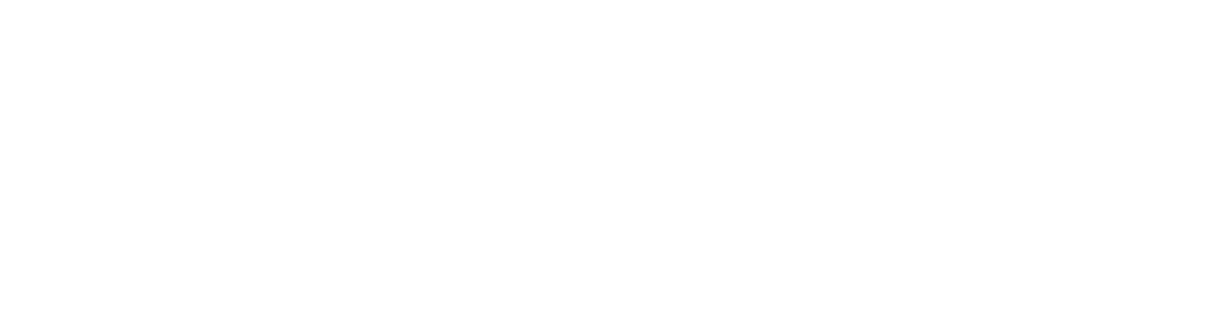 ELVORA SOLUTIONS